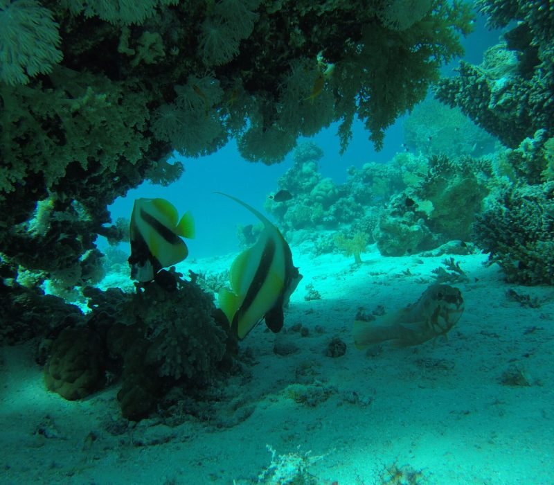 DCIM100GOPROG0639133.JPG