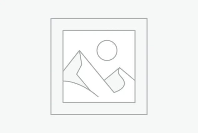 عنصر نائب Placeholder